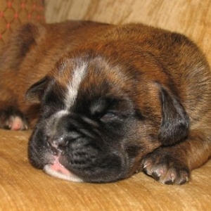 Rasmus - 9 days old