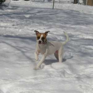Running in snow