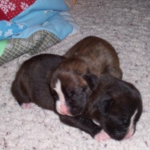 Snuggling with his brother