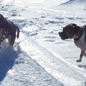 running_free_11