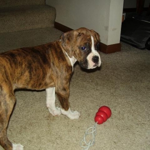 playin