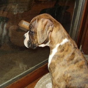 watchin