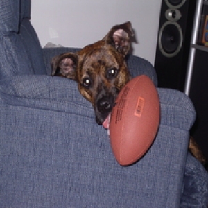 Waiting for next football season