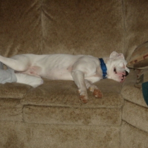 Zeus 11 Months (2)