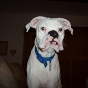 Zeus 11 Months (3)