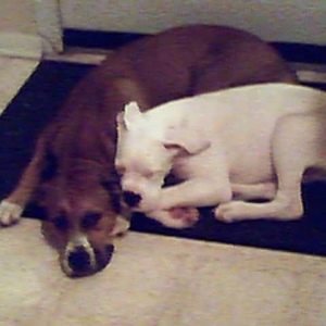 Zeus N Holly