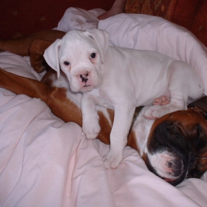 My two boys