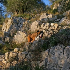 Trekking