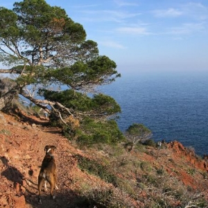 Sun, sea, Henri