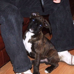 Sampson 9 weeks 2