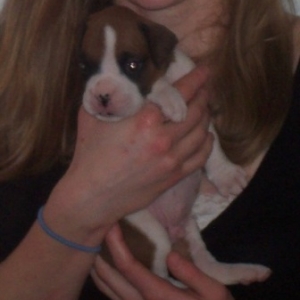 Little Humphrey