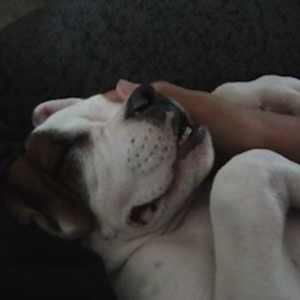 Vicious sleeper!