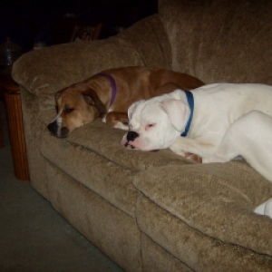 Zeus N Holly
