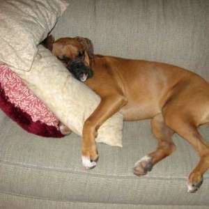 Sleepy Shae