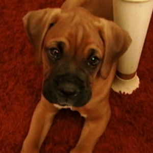 Charlie9wks