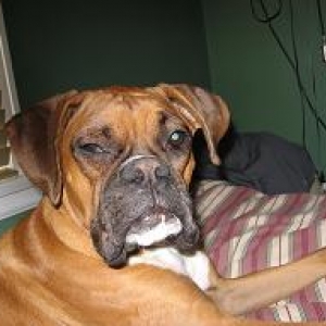 Sleeping Dex