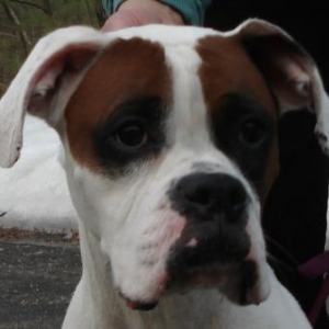 Mayhem, our new girl :)