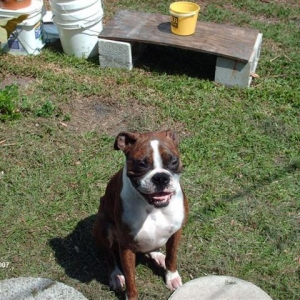 Chance_sitting_pretty