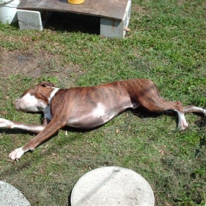 Ahh_sun