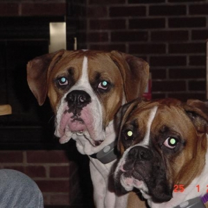 Scooter & Lila