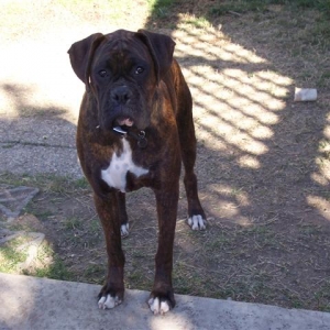 Happy 1 Year Old Birthday Syd