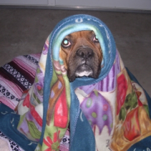 I look like E.T!