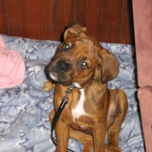Who Me?