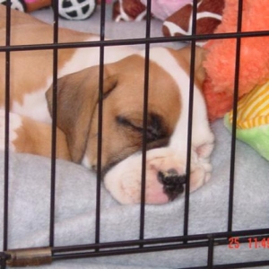 Nap Time
