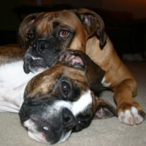 Mack and Molly
