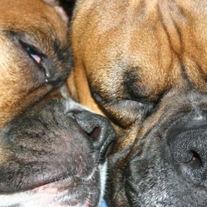 Ranger and Mack