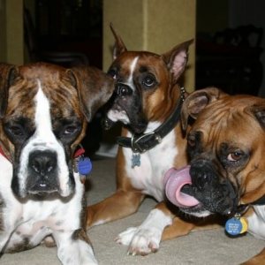 Give us the treat already!