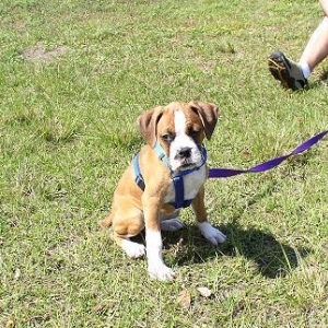 Roxy @ the park