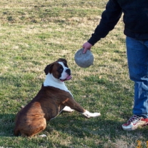 Playing with my dad....