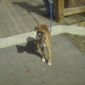 Roscoe's first trip