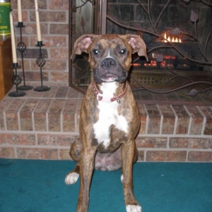 Bailey