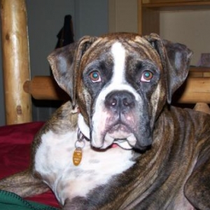 Toots at 2 years
