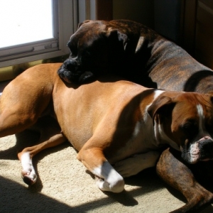 Kilbane & Jazzy