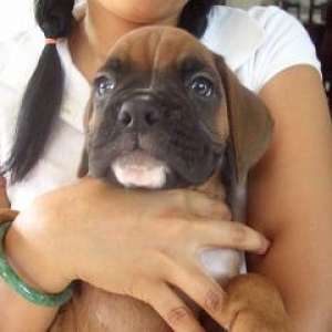 Hugo9