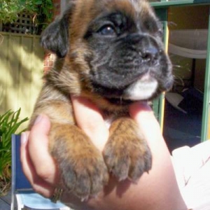 Rasmus - 23 days old.