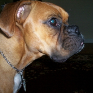 Daisy's Profile