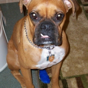She has a boo-boo on her foot.