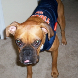 Go Auburn!!