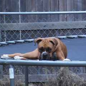 Jumping on the trampoline is tough work!!