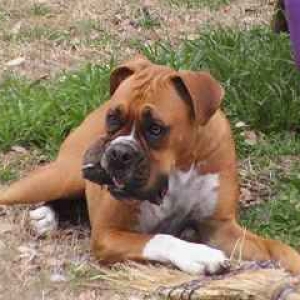 I got my ball!!