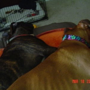First cuddle