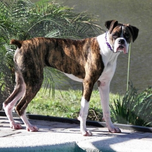 Chloe - 9 months