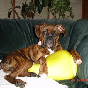 Zoey _ Pillow
