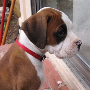 Wanting In