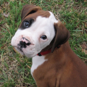 I love the head tilt!