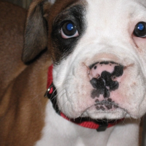 I'm Ready For My Closeup!